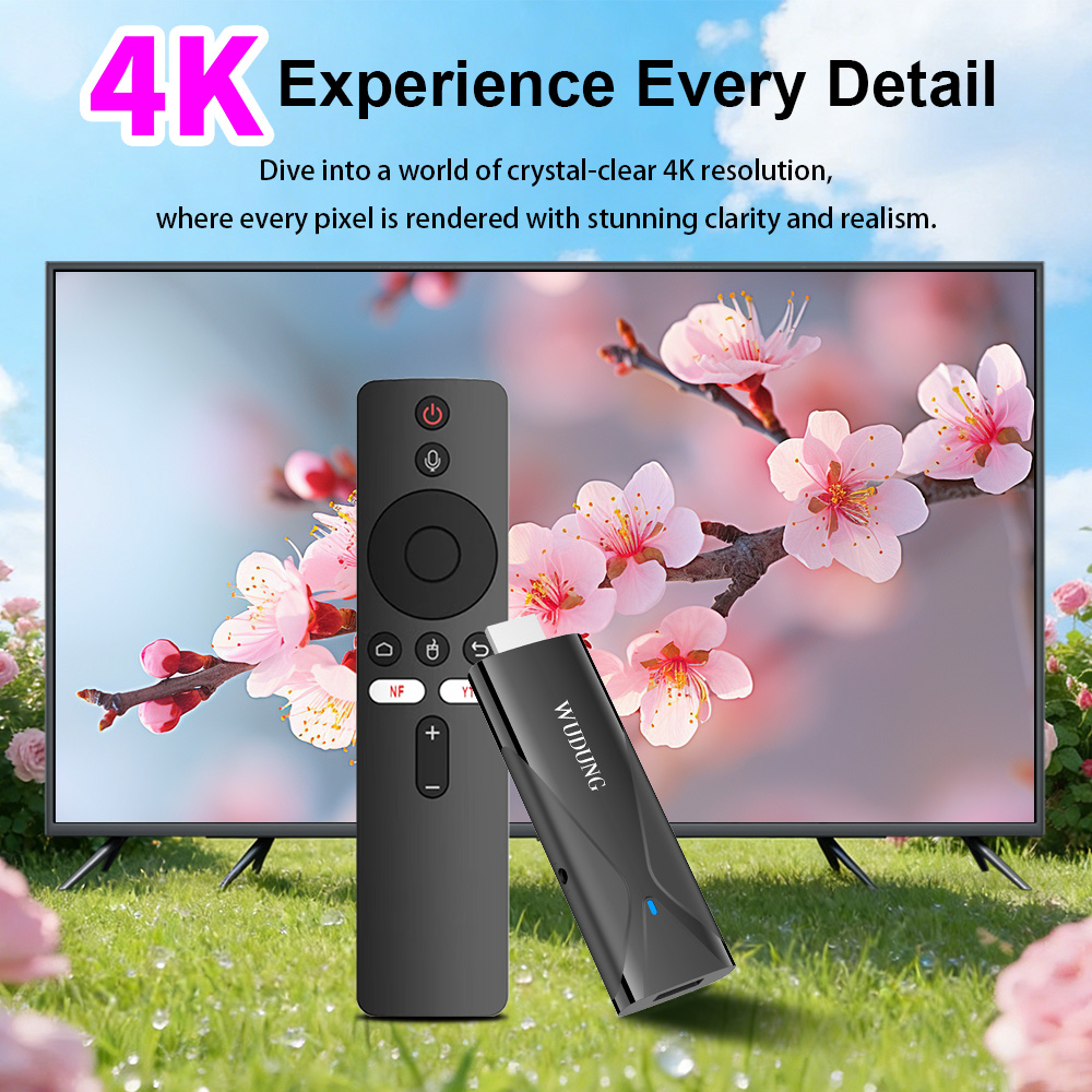 Netflix Home Cinema - Clé TV WD08 PRO Android 10
