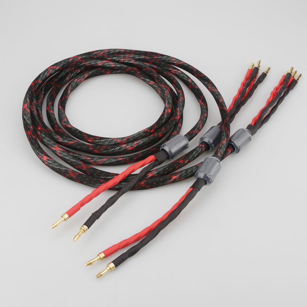 Câble de haut-parleur bi-filai - Home Cinema Marantz avis et prix