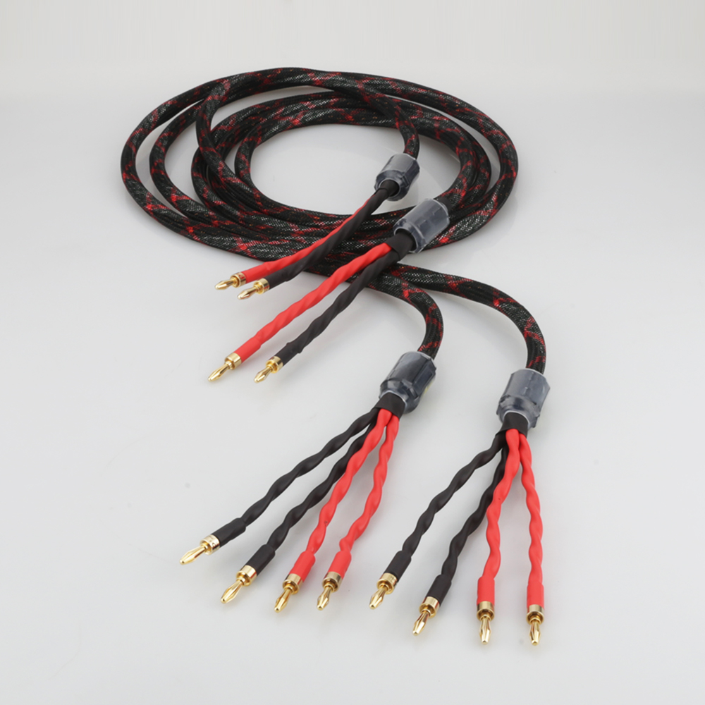 Câble de haut-parleur bi-filai - Home Cinema Marantz avis et prix