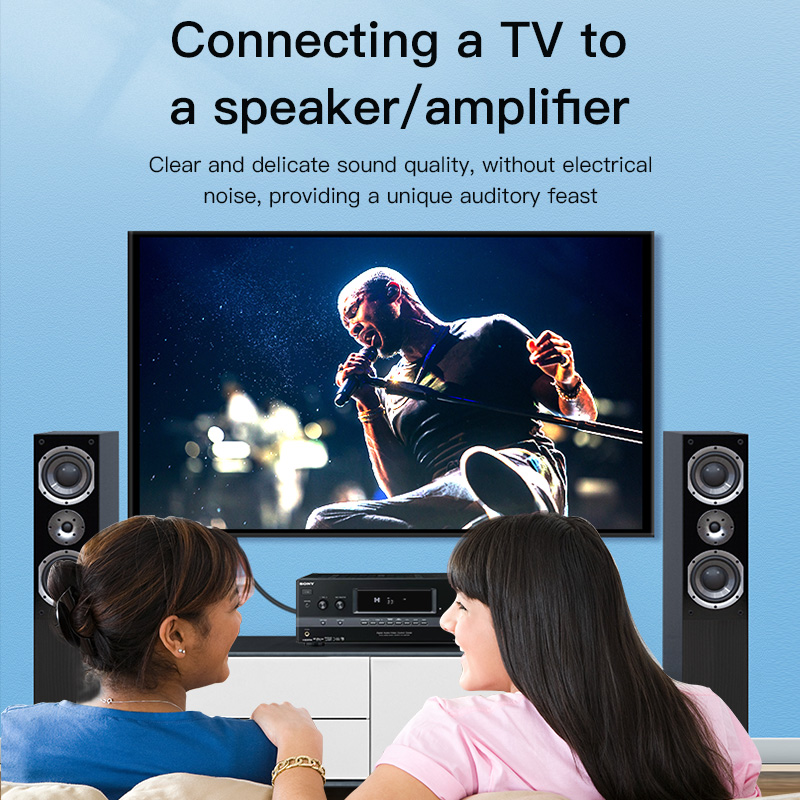 Câble RCA CHOSEAL, câble audio - Home Cinema Sound System avis et prix